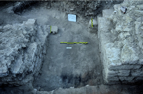 Fig. 1.2. Sectorul Curtina X – Fortificație (F).